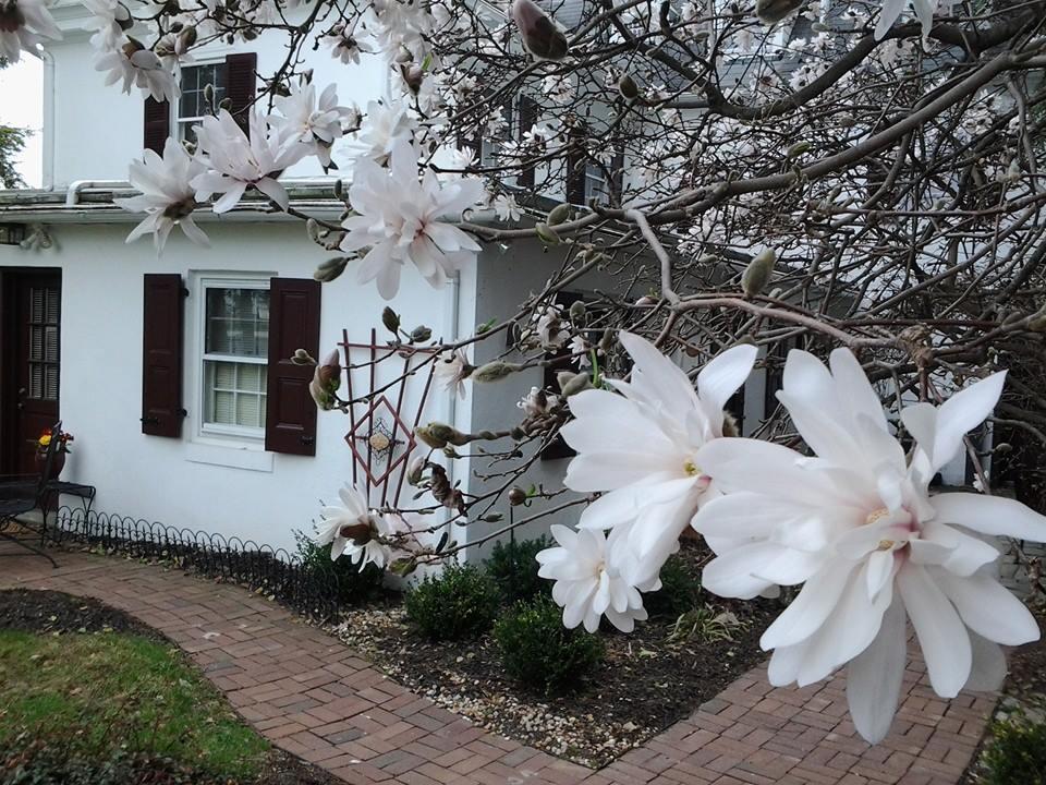 1777 Americana Inn & Lancaster Brewery Ephrata Εξωτερικό φωτογραφία